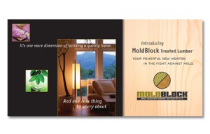MoldBlock Lumber Brochure